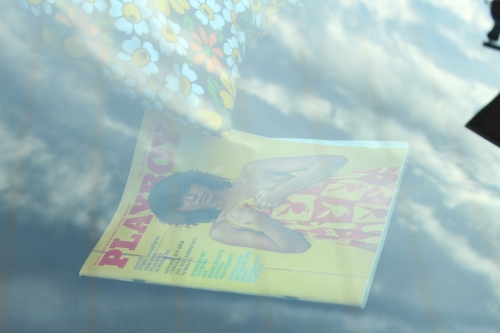 img 1576 36664323940 o